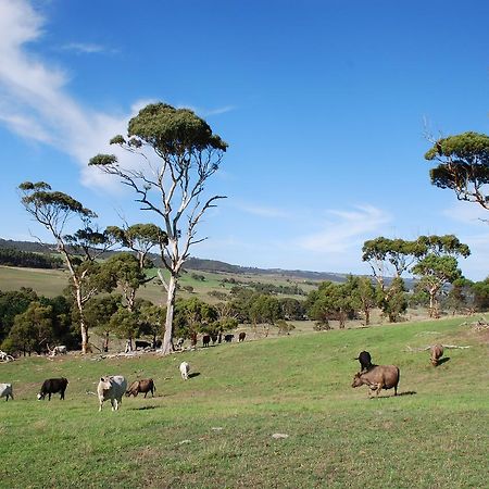 Back Valley Farmstay Bed And Breakfast Victor Harbor Esterno foto