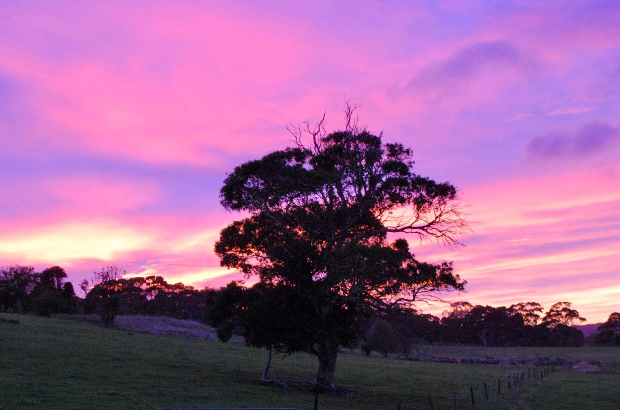 Back Valley Farmstay Bed And Breakfast Victor Harbor Esterno foto