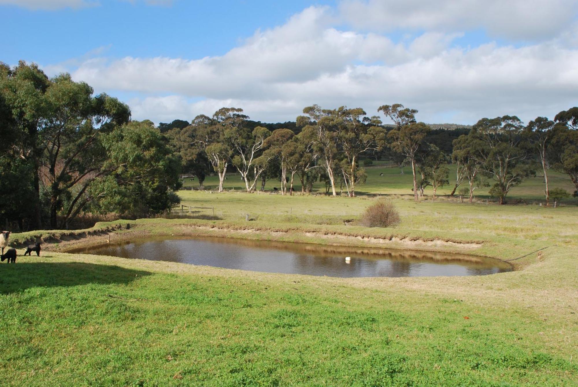 Back Valley Farmstay Bed And Breakfast Victor Harbor Esterno foto