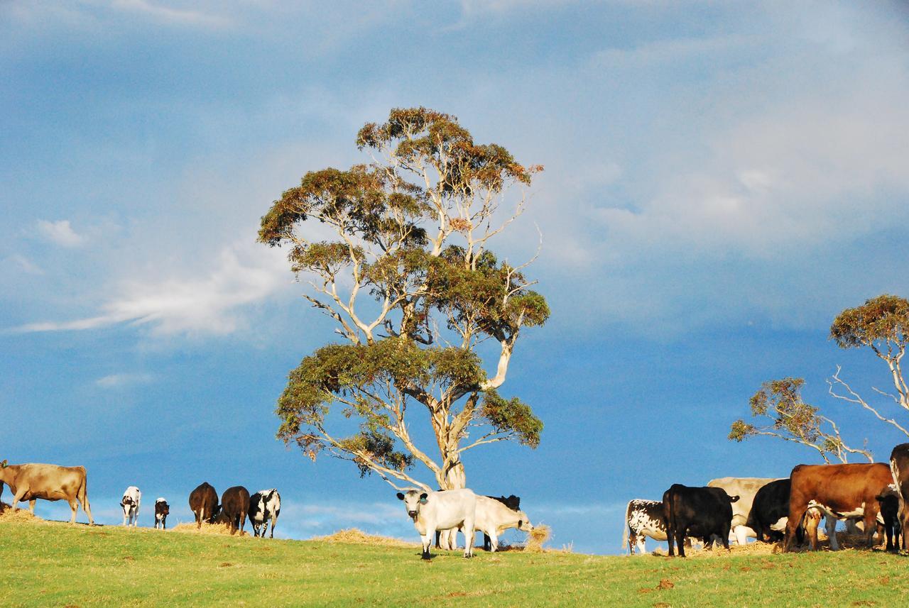 Back Valley Farmstay Bed And Breakfast Victor Harbor Esterno foto