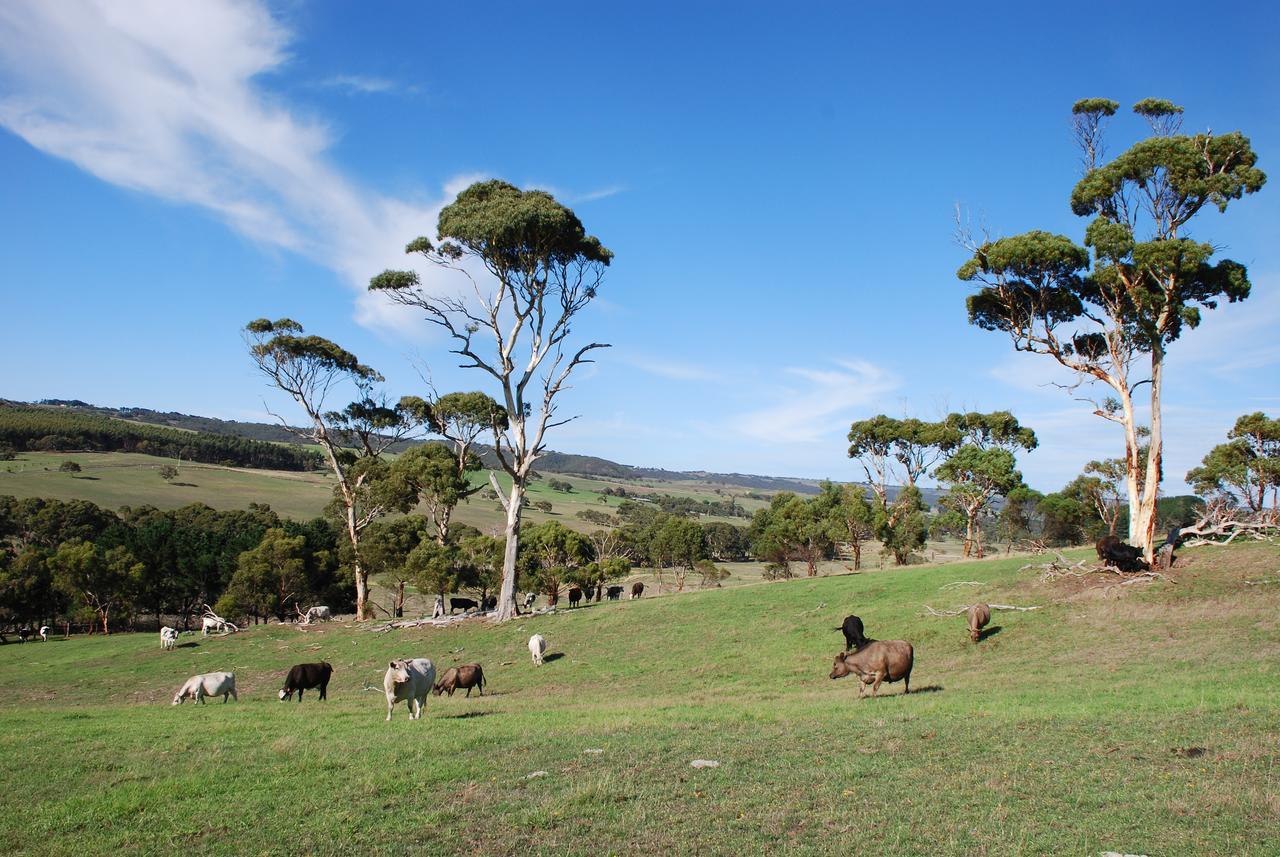 Back Valley Farmstay Bed And Breakfast Victor Harbor Esterno foto